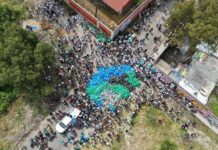 aerial view of blue trash bags in street