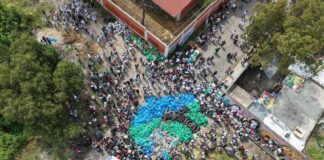 aerial view of blue trash bags in street
