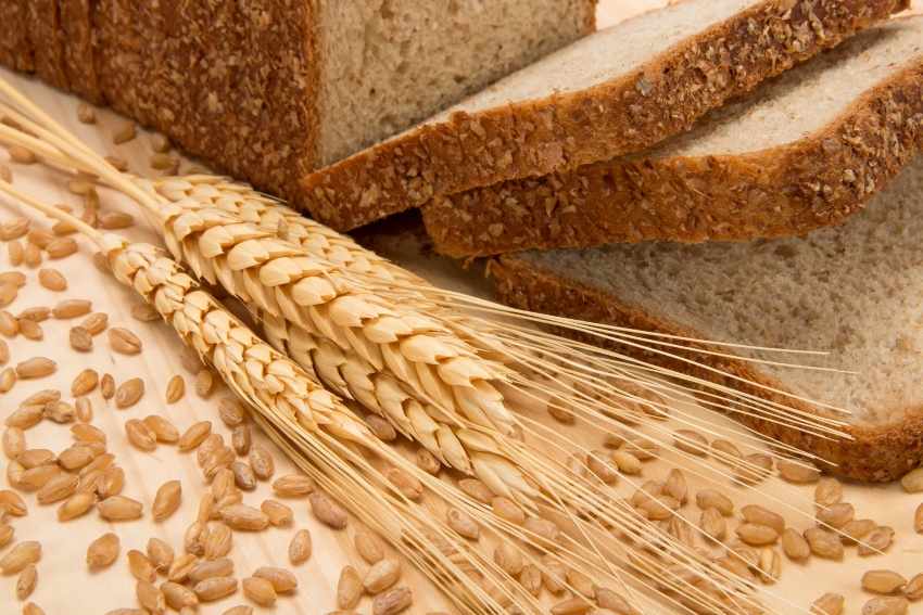 wheat from Mexico