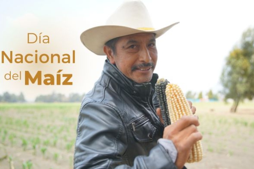 Corn Day in Mexico