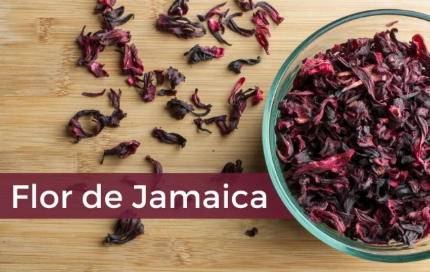Flor de jamaica