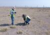 Archaeologists gathering artifacts.