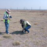 Archaeologists gathering artifacts.