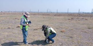 Archaeologists gathering artifacts.