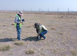 Archaeologists gathering artifacts.