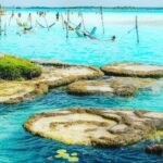 Stromatolites in Bacalar Lagoon