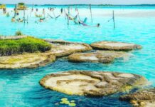 Stromatolites in Bacalar Lagoon