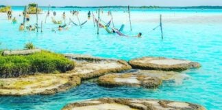 Stromatolites in Bacalar Lagoon