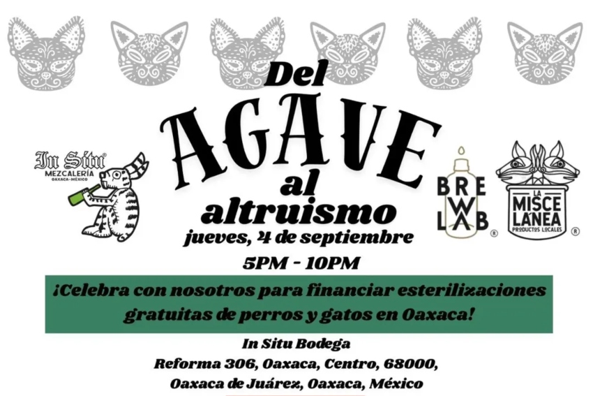 Del Agave al Altruismo