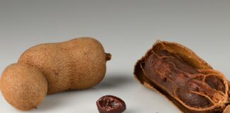 Tamarind fruit