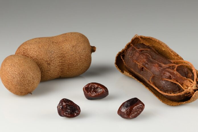 Tamarind fruit