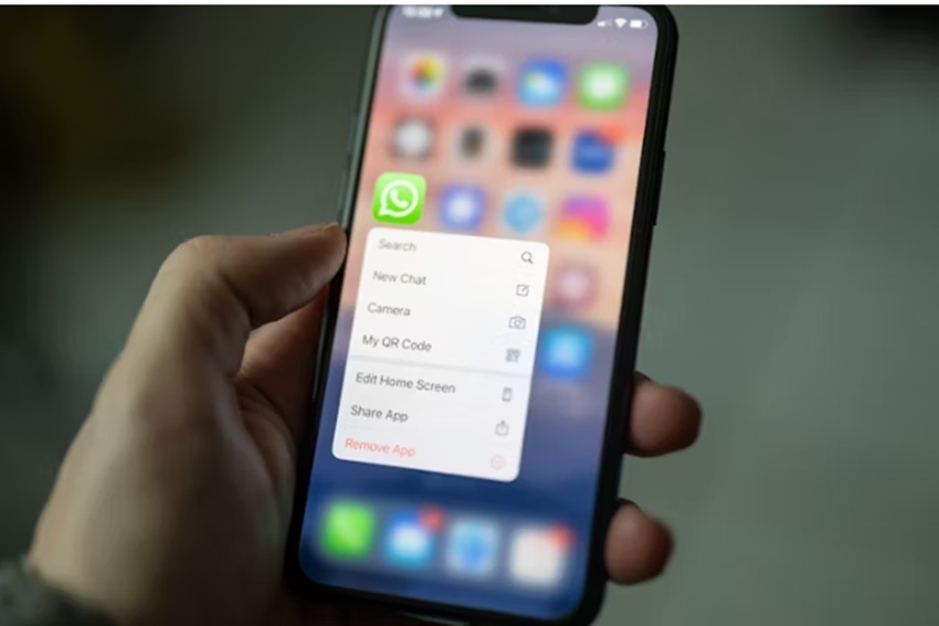 Moblie screen with closup of WhatsApp menu and background images.