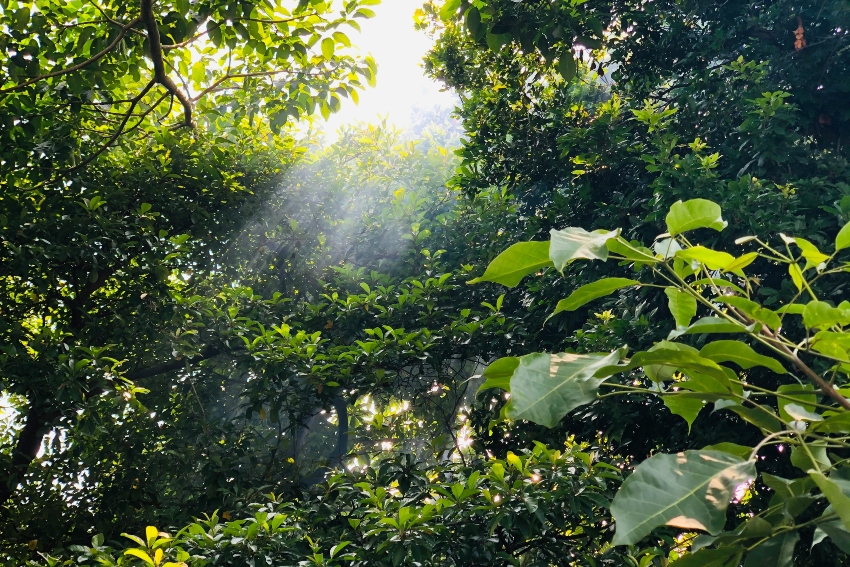 Jáltipan de Morelos, Mexico