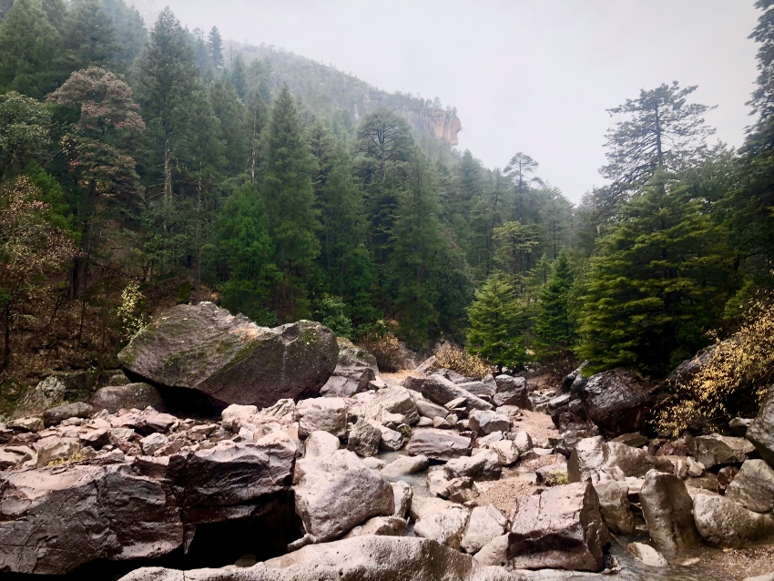 Copper Canyon in Mexico