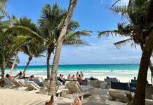 Lounge chairs and the occasional tourist fill a beach shaded by palm trees in Tulum