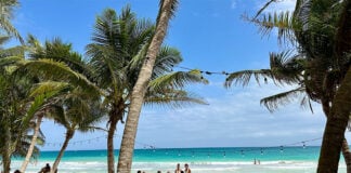 Lounge chairs and the occasional tourist fill a beach shaded by palm trees in Tulum