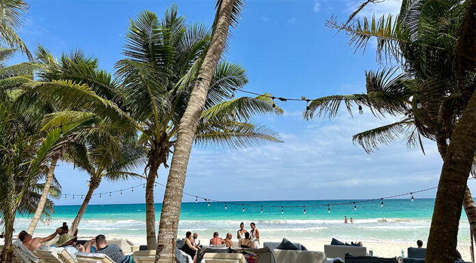 Lounge chairs and the occasional tourist fill a beach shaded by palm trees in Tulum