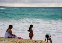 waders at a Cancún beach