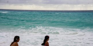 waders at a Cancún beach