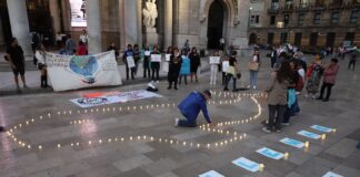 candles in shape of a whale