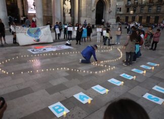 candles in shape of a whale