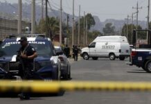 forensic van parked outside a homicide