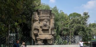 Anthropology Museum