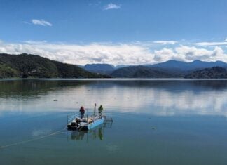 Drought affects just 7.5% of Mexico after summer of exceptional rainfall As the 2025 rainy season concludes, the Mexico City area's Cutzamala System has reached its highest levels in recent years, exceeding 90% of its capacity.