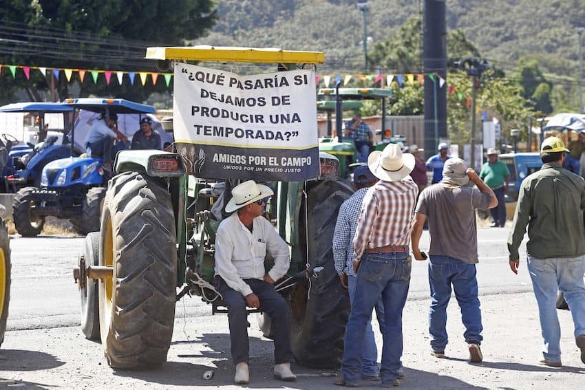 A corn farmer in Guadalajara sits by a protest sign that says: "What would happen if we stopped producing corn next season?"