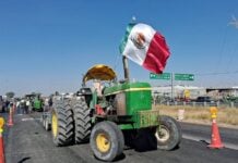 Farmers end highway blockades after ag ministry agrees to 950 peso per tonne corn subsidy A farmer protesting corn prices in Mexico sits in his tractor during a blockade in León, Mexico