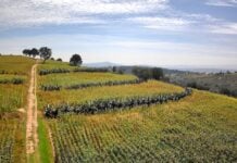 Tlaxcala’s 3,000-year-old farming system honored by the United Nations Metepantle