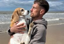 Saga of soccer star’s missing dog Halo continues in San Miguel de Allende  Aaron Ramsey and Halo