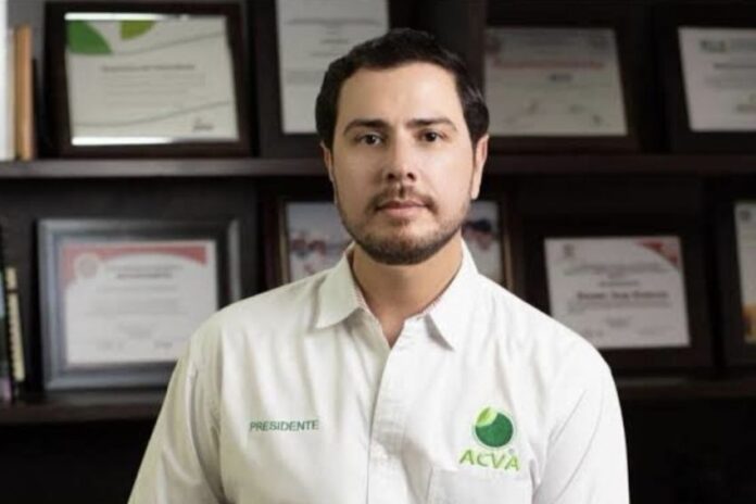 Bernardo Bravo