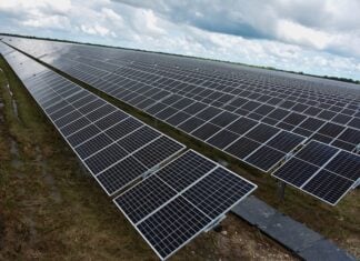 Energy giant Cox announces US $4.2B plan for wind and solar farms in Nuevo León solar farm