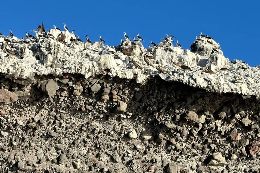 Espíritu Santo in Mexico