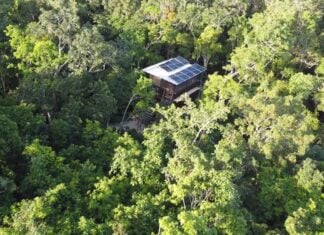 A small house in a forest