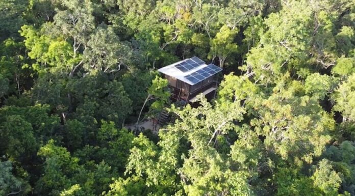A small house in a forest