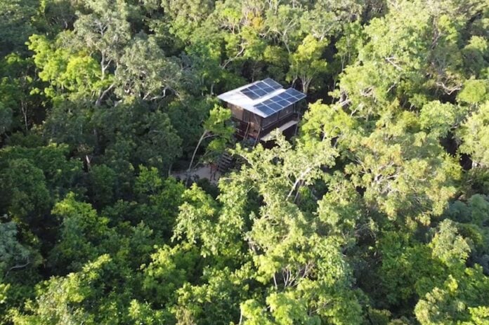 A small house in a forest