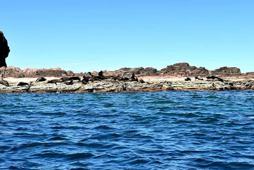 Espíritu Santo in Mexico