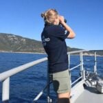 Gulf of California’s vaquita population inches higher, giving some hope for recovery Marine scientist surveying vaquitas