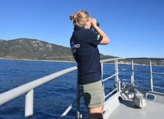 Gulf of California’s vaquita population inches higher, giving some hope for recovery Marine scientist surveying vaquitas