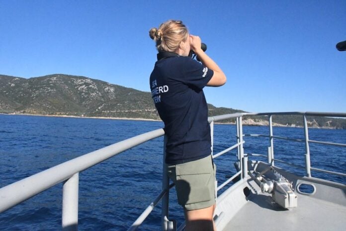 FqH_tHSXsAA3grp Marine scientist surveying vaquitas