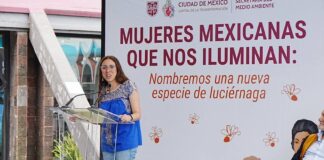 A representative of Sedema announcing a naming contest for a newly discovered firefly