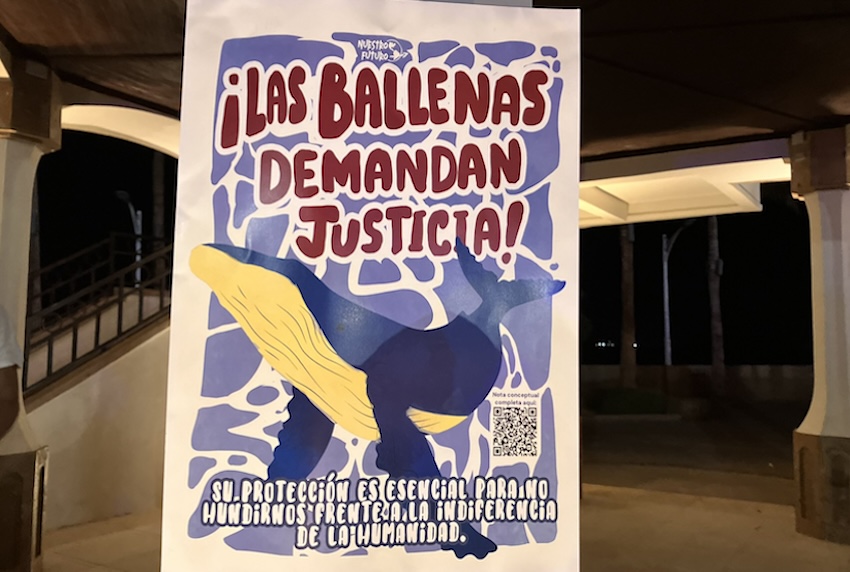 whale poster