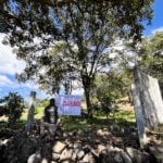 Profepa cracks down on illegal logging in Michoacán butterfly reserve illegal logging