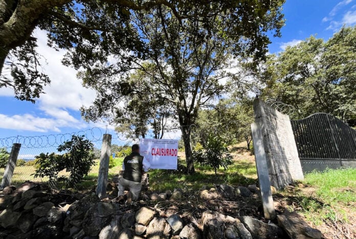 G4cndFZWkAA4qzU illegal logging