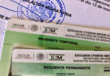 A close-up of two Mexican residency cards: a 'Residente Temporal' (Temporary Resident) card and a 'Residente Permanente' (Permanent Resident) card, on top of official INM immigration paperwork.