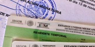 A close-up of two Mexican residency cards: a 'Residente Temporal' (Temporary Resident) card and a 'Residente Permanente' (Permanent Resident) card, on top of official INM immigration paperwork.