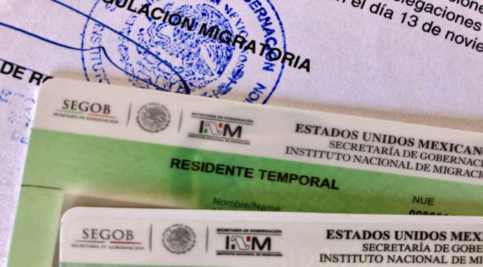A close-up of two Mexican residency cards: a 'Residente Temporal' (Temporary Resident) card and a 'Residente Permanente' (Permanent Resident) card, on top of official INM immigration paperwork.