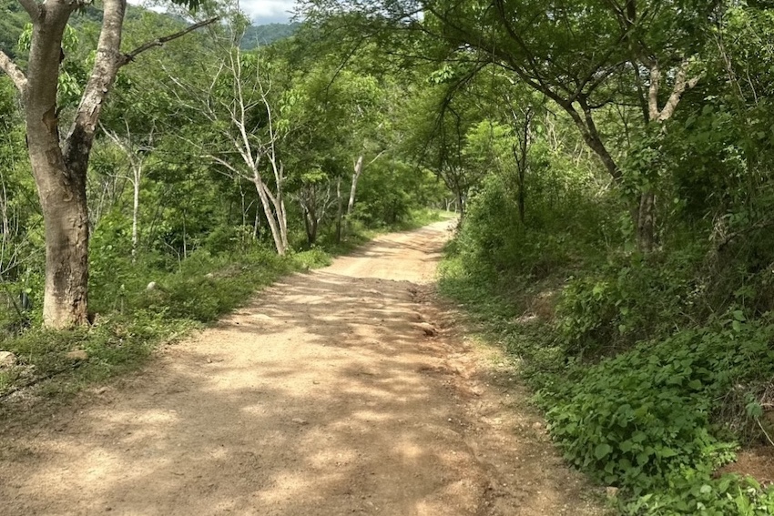 A dirt road in the Jalisco mountains